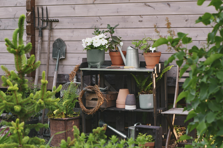 Gardener work bench (potting table) in summer garden. Wooden rustic style house, different tools and pots.