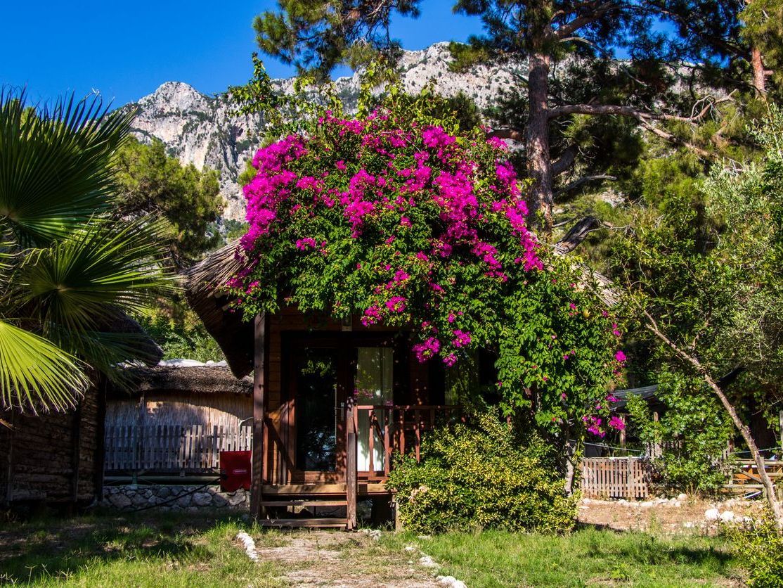 Farkli Akdeniz Bitkileri ile Bahçenize Doku Katin