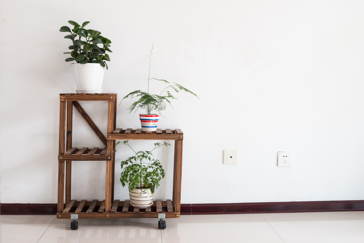 Saksı Stantları Kullanarak Bitkilerin Düzenli Durmasını Sağlayın