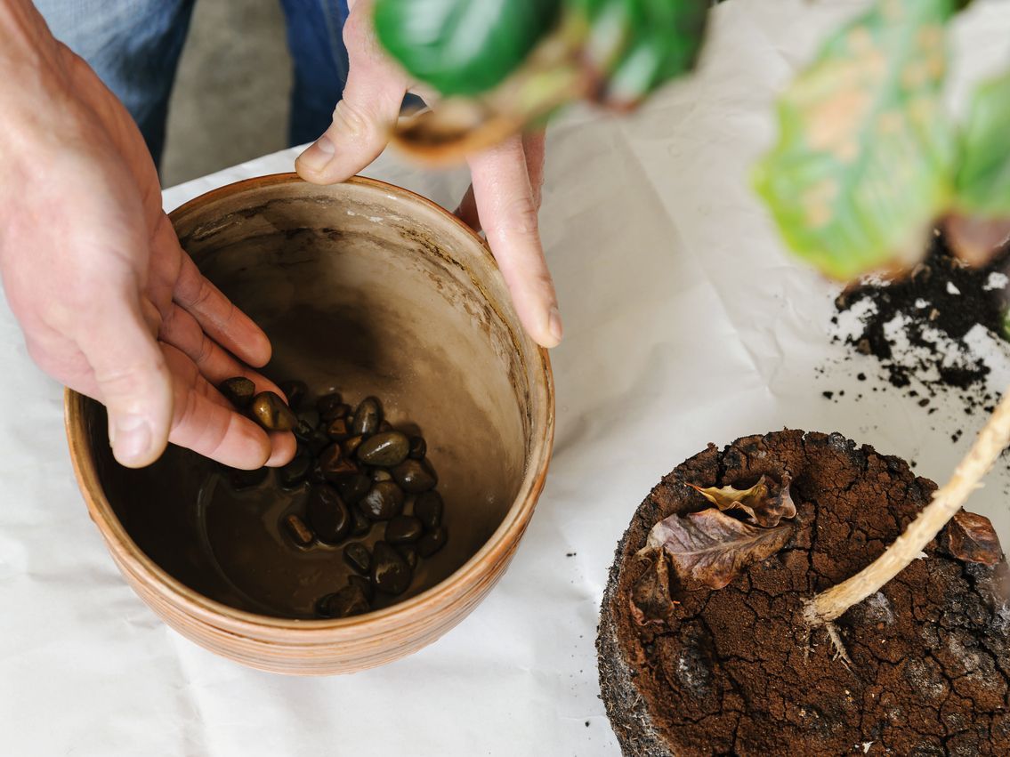 Saksılarda Su Drenajı Neden Önemli