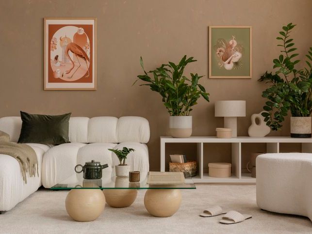 Evin Farklı Odaları İçin Bitki Seçiminde Dikkat Etmeniz Gerekenler 