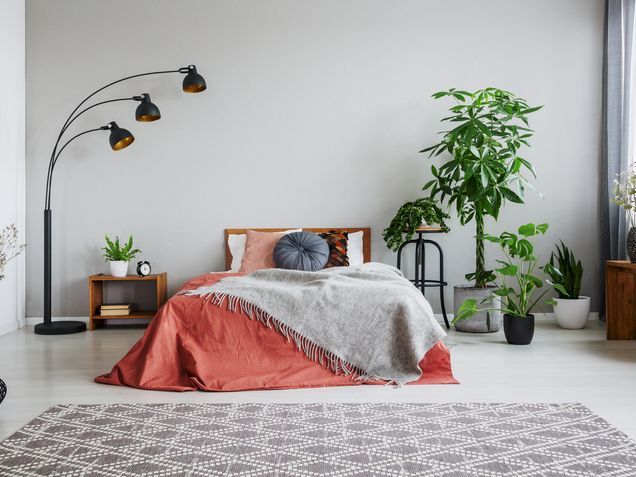 Evin Farklı Odaları İçin Bitki Seçiminde Dikkat Etmeniz Gerekenler 